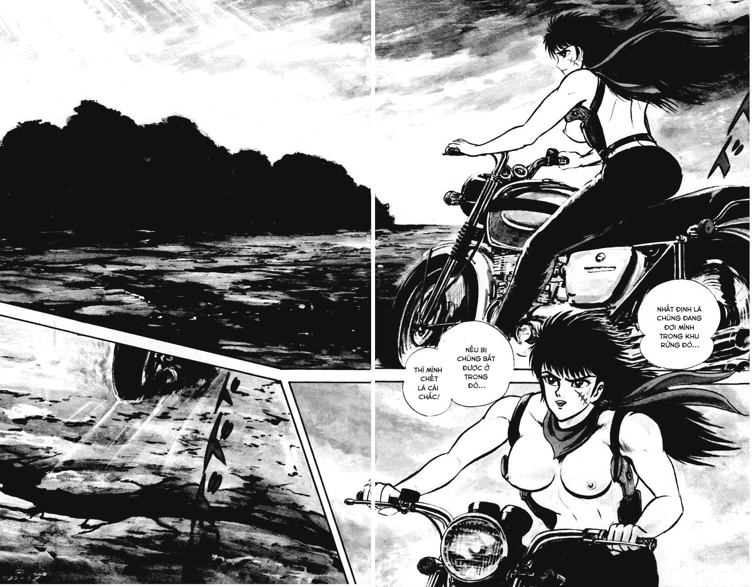 Violence Jack Chapter 3.3 - Trang 2