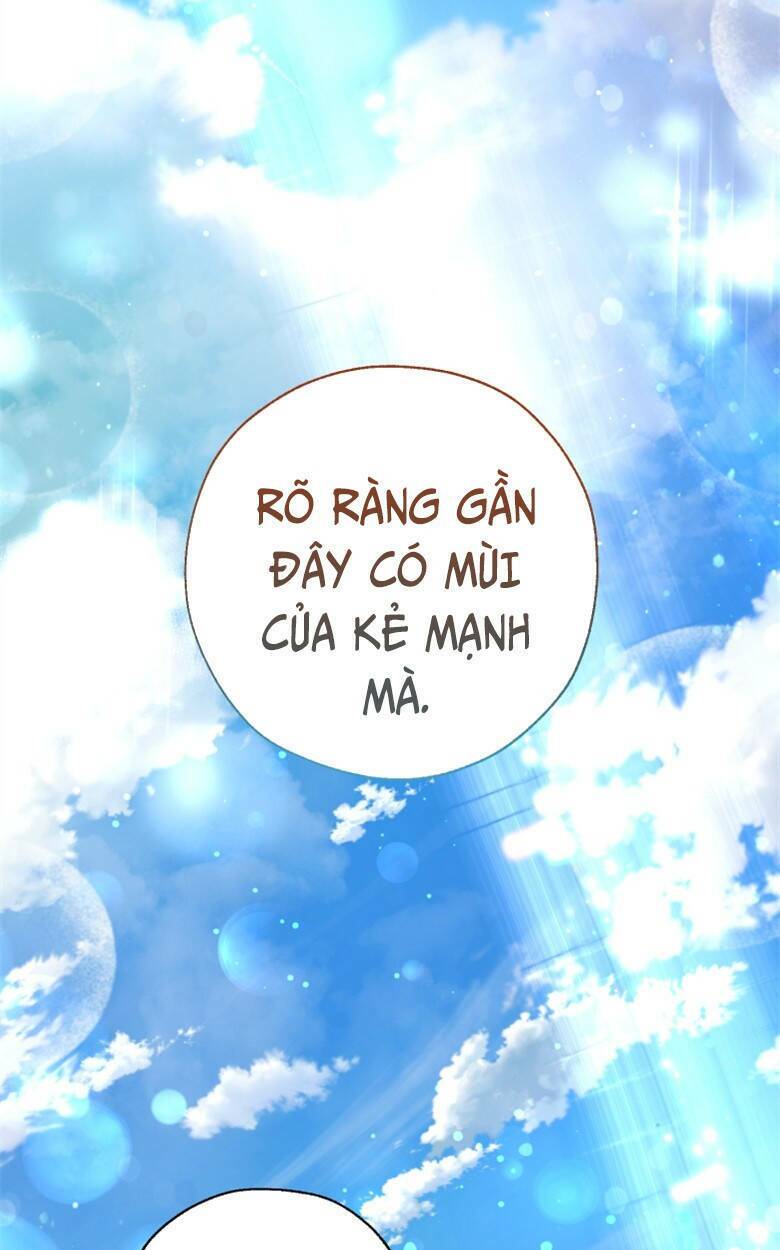 Sự Ra Đời Của Một Anh Hùng Chapter 73 - Trang 2