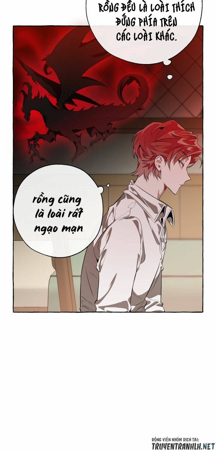 Sự Ra Đời Của Một Anh Hùng Chapter 17 - Trang 2