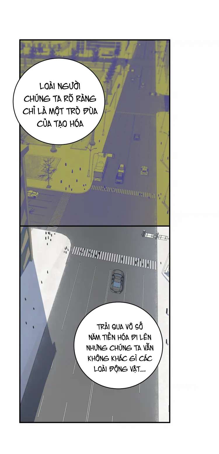 Truy Sát Tình Yêu Chapter 6 - Trang 2