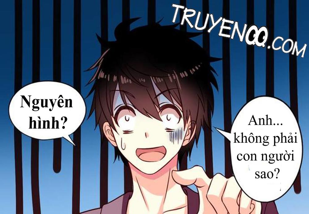 Chủ Nha Phá Phách Của Tôi Chapter 3 - Trang 2