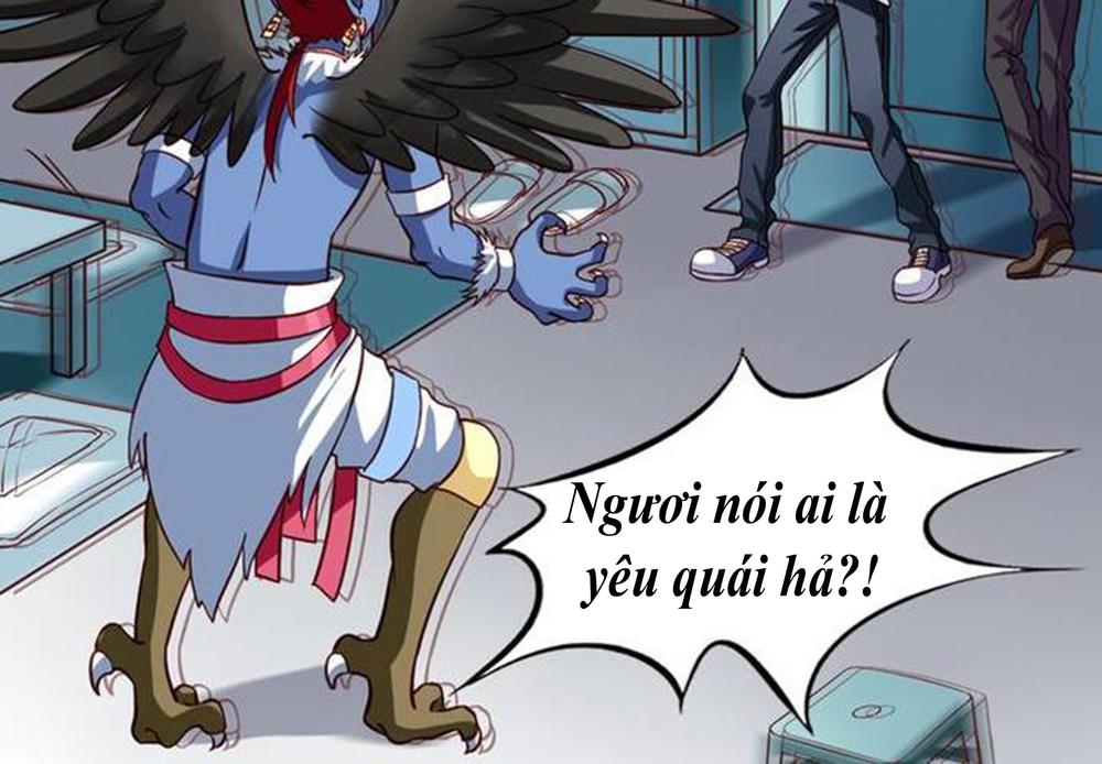 Chủ Nha Phá Phách Của Tôi Chapter 3 - Trang 2
