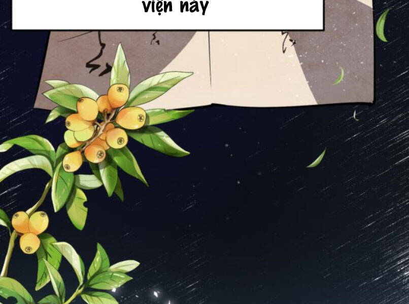 Đệ Nhất Võ Sư, Baek Cao Thủ Chapter 16 - Trang 2