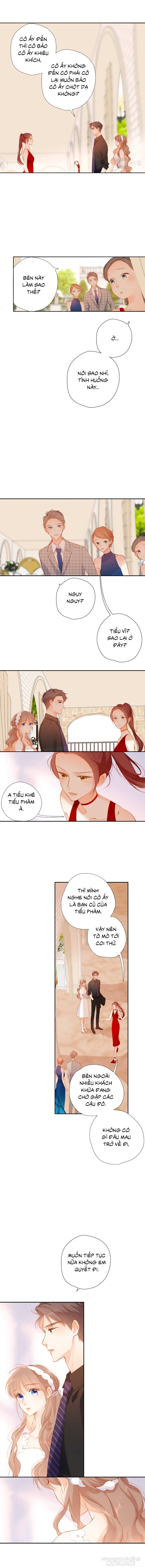 Lại Gặp Được Em Chapter 145 - Trang 2