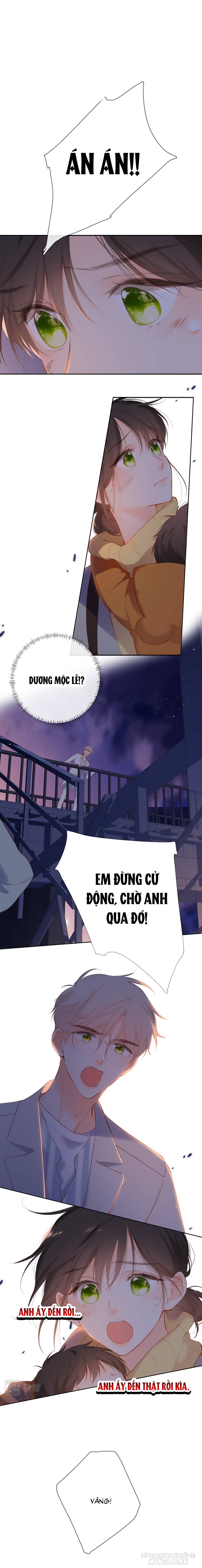 Lại Gặp Được Em Chapter 139 - Trang 2