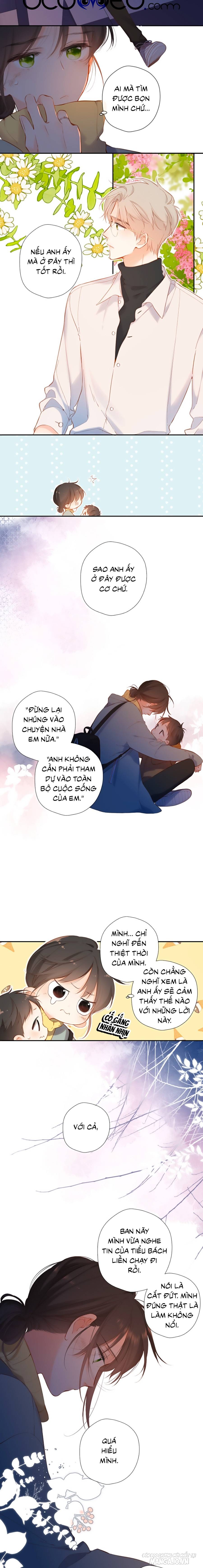 Lại Gặp Được Em Chapter 138 - Trang 2