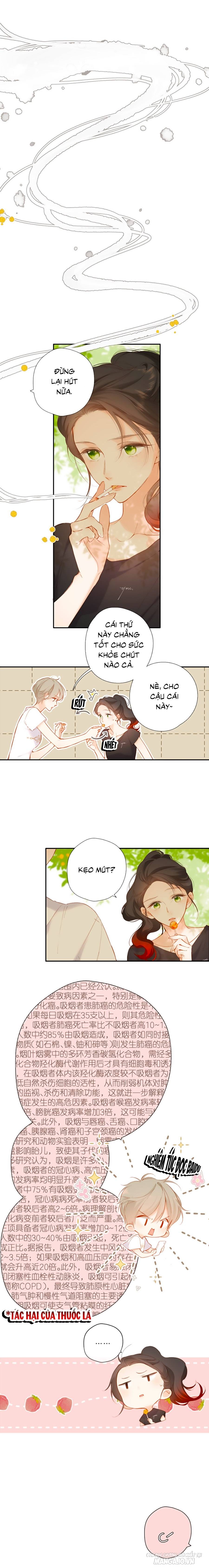 Lại Gặp Được Em Chapter 137 - Trang 2