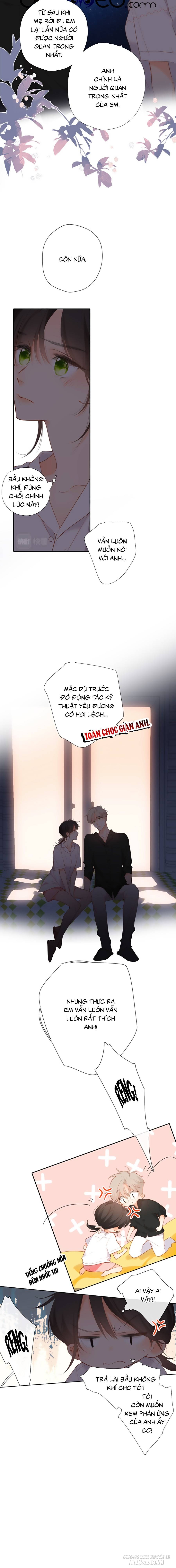 Lại Gặp Được Em Chapter 127 - Trang 2