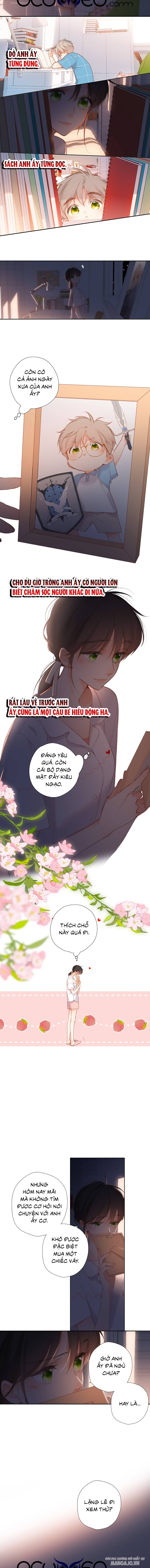 Lại Gặp Được Em Chapter 126 - Trang 2