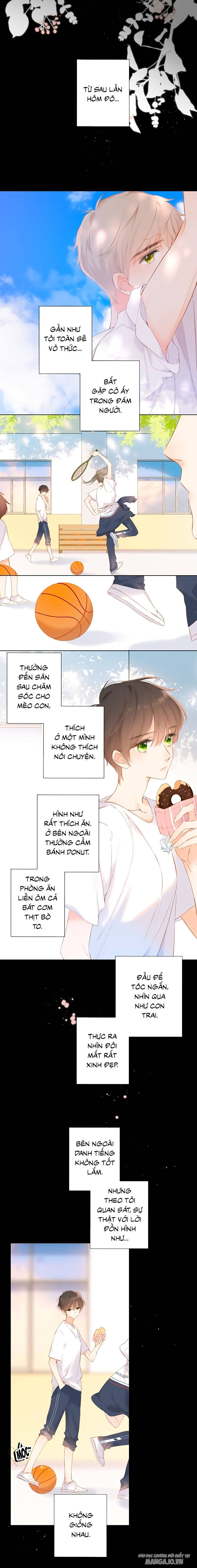 Lại Gặp Được Em Chapter 87 - Trang 2