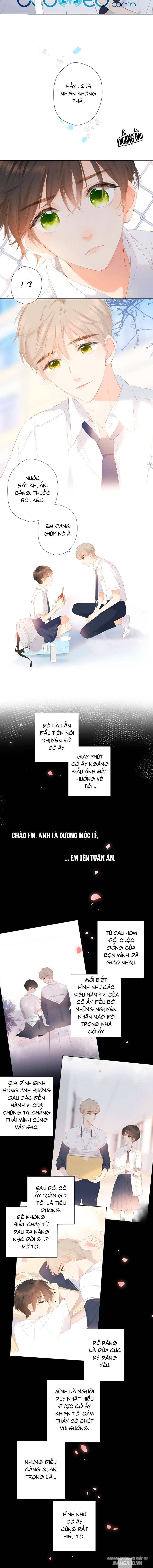 Lại Gặp Được Em Chapter 87 - Trang 2