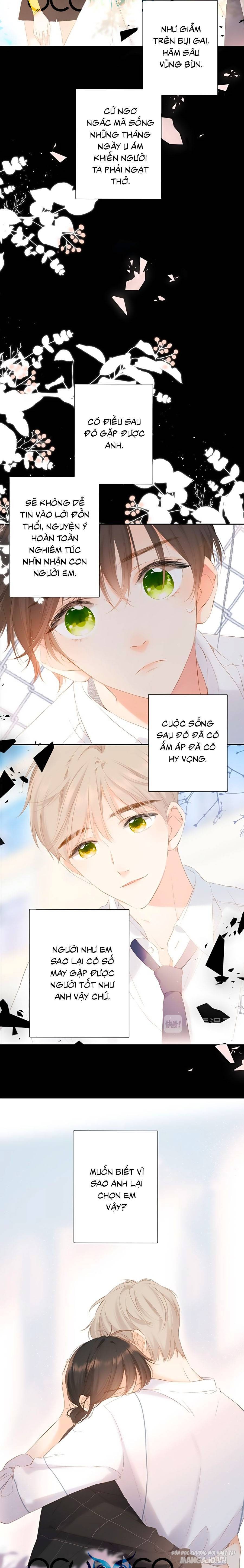 Lại Gặp Được Em Chapter 69 - Trang 2