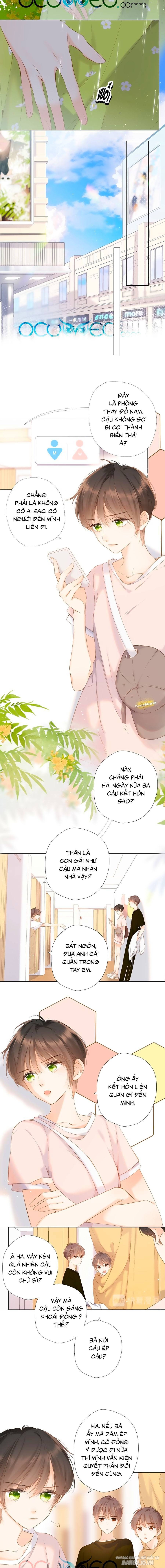 Lại Gặp Được Em Chapter 68 - Trang 2