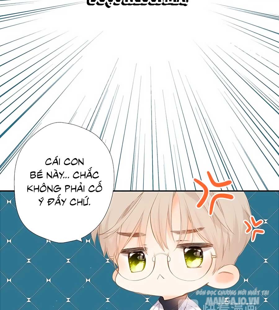 Lại Gặp Được Em Chapter 54 - Trang 2