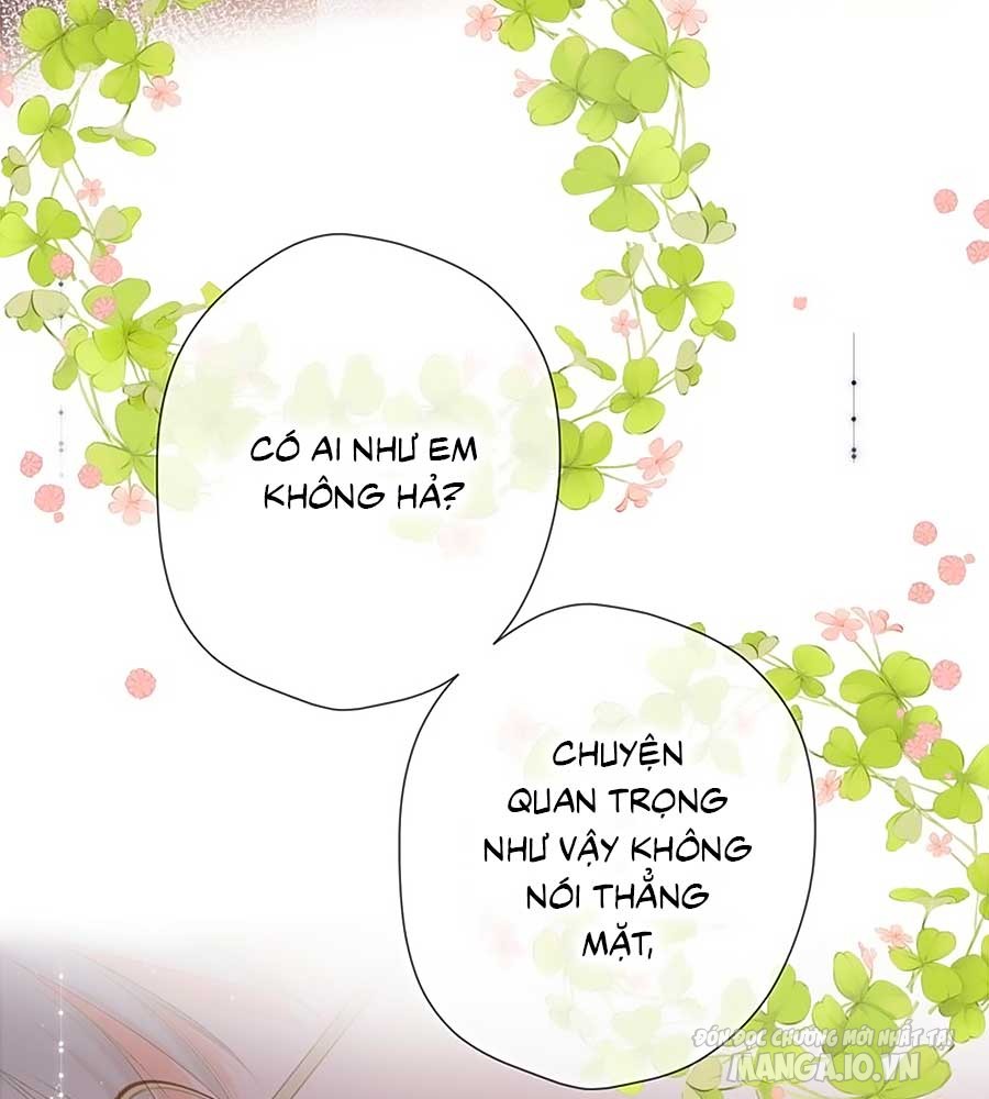 Lại Gặp Được Em Chapter 54 - Trang 2