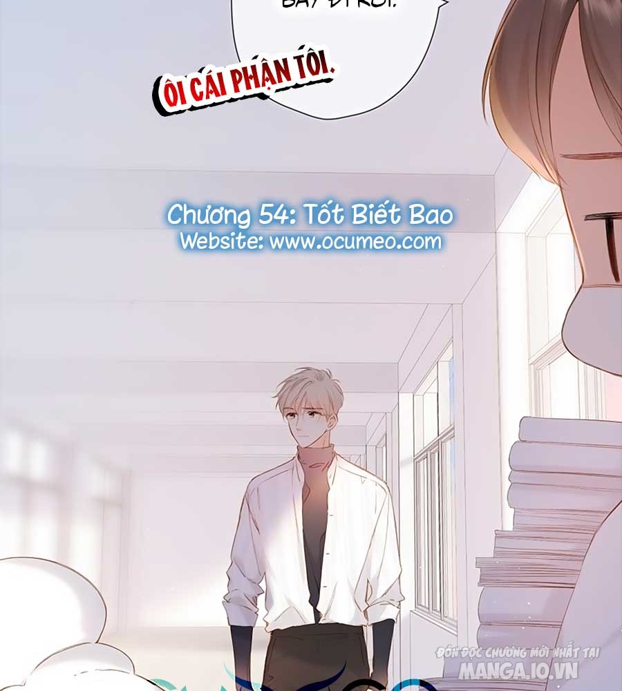 Lại Gặp Được Em Chapter 54 - Trang 2