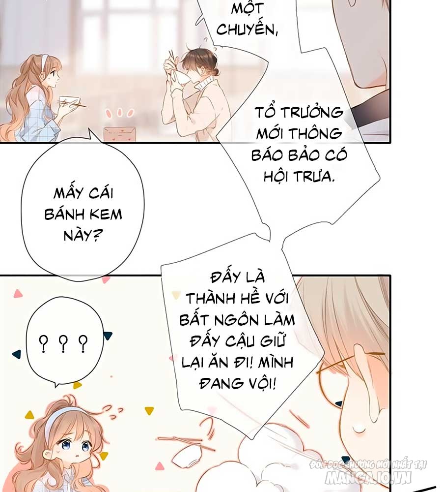 Lại Gặp Được Em Chapter 54 - Trang 2