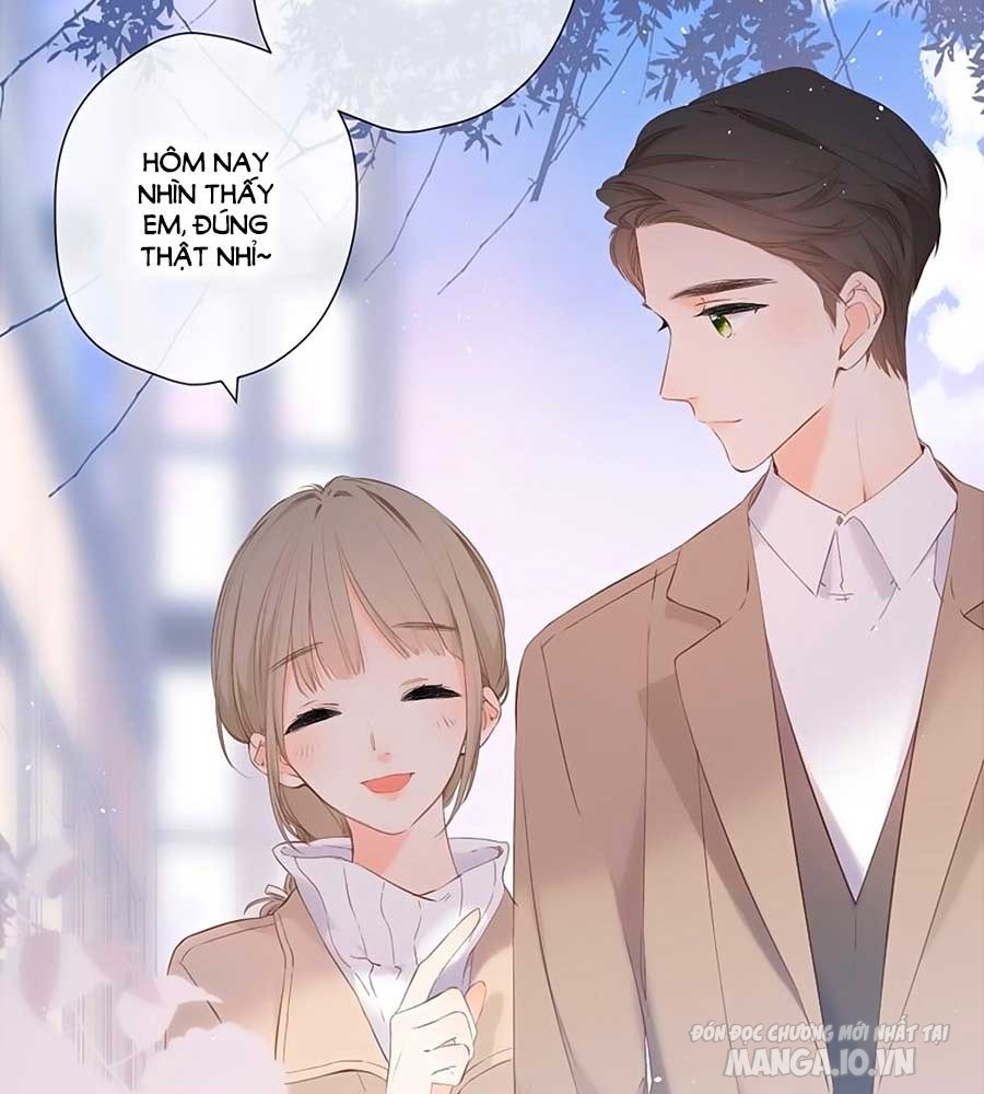 Lại Gặp Được Em Chapter 24 - Trang 2