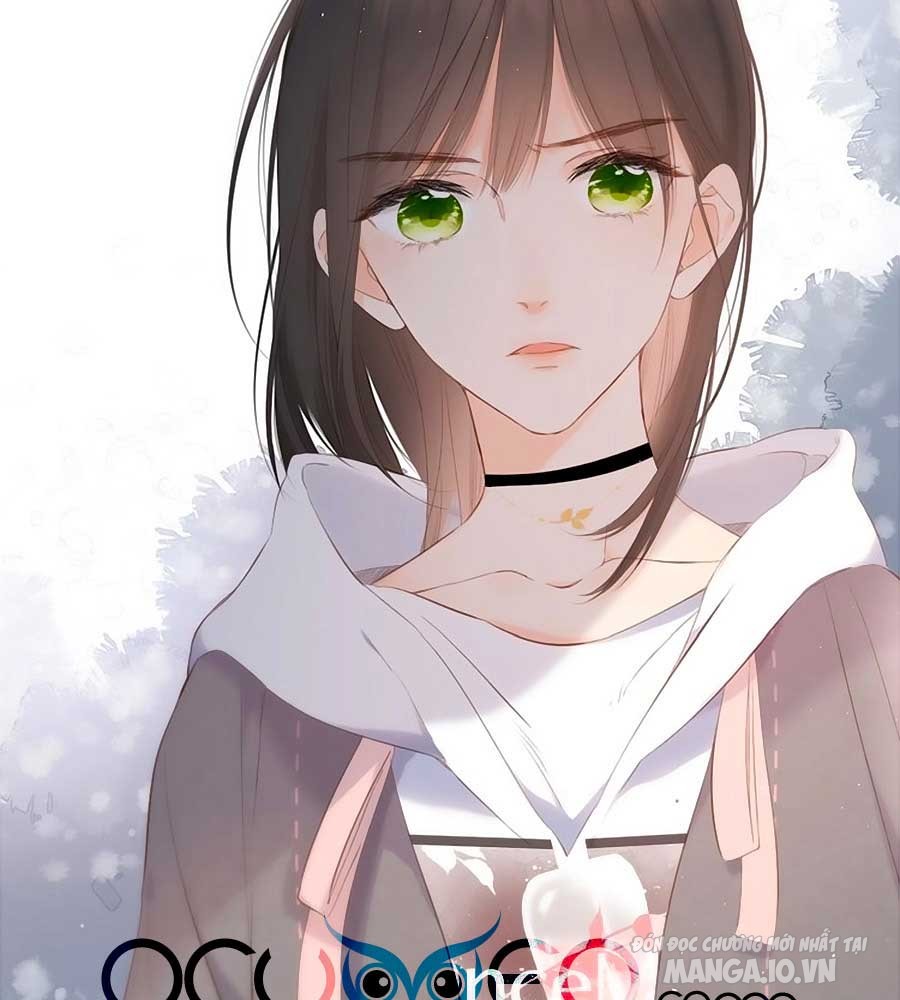 Lại Gặp Được Em Chapter 24 - Trang 2