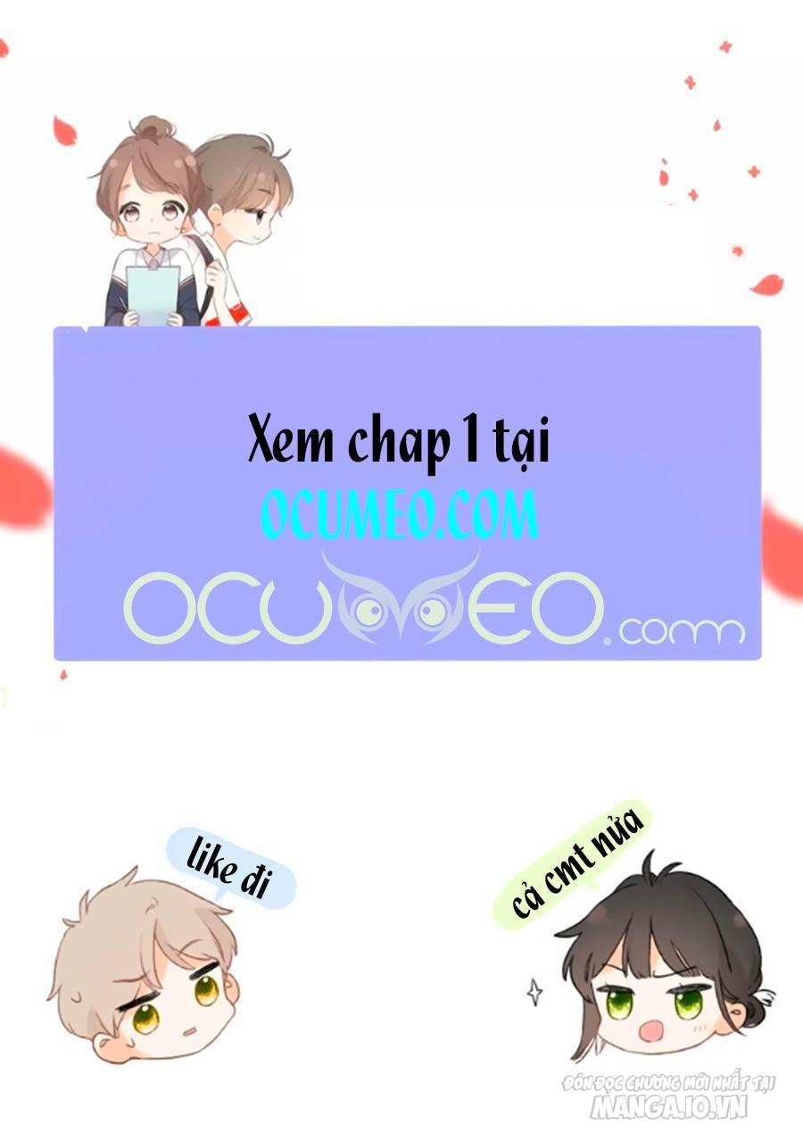 Lại Gặp Được Em Chapter 0.3 - Trang 2