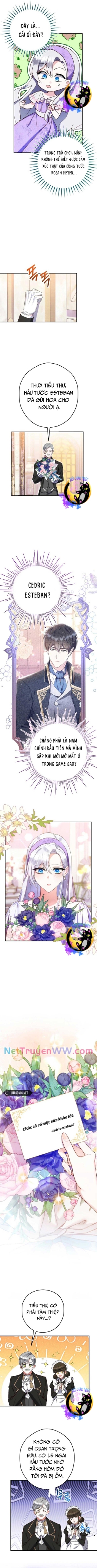 Công Nương Sinh Ra Để Sống Một Mình Chapter 5 - Trang 2