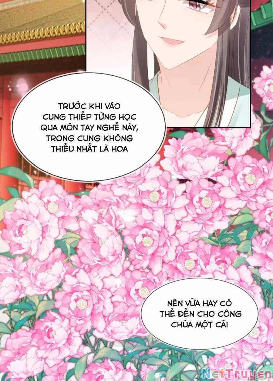 Nhặt Được Bảo Bối Manh Manh Chapter 106 - Trang 2