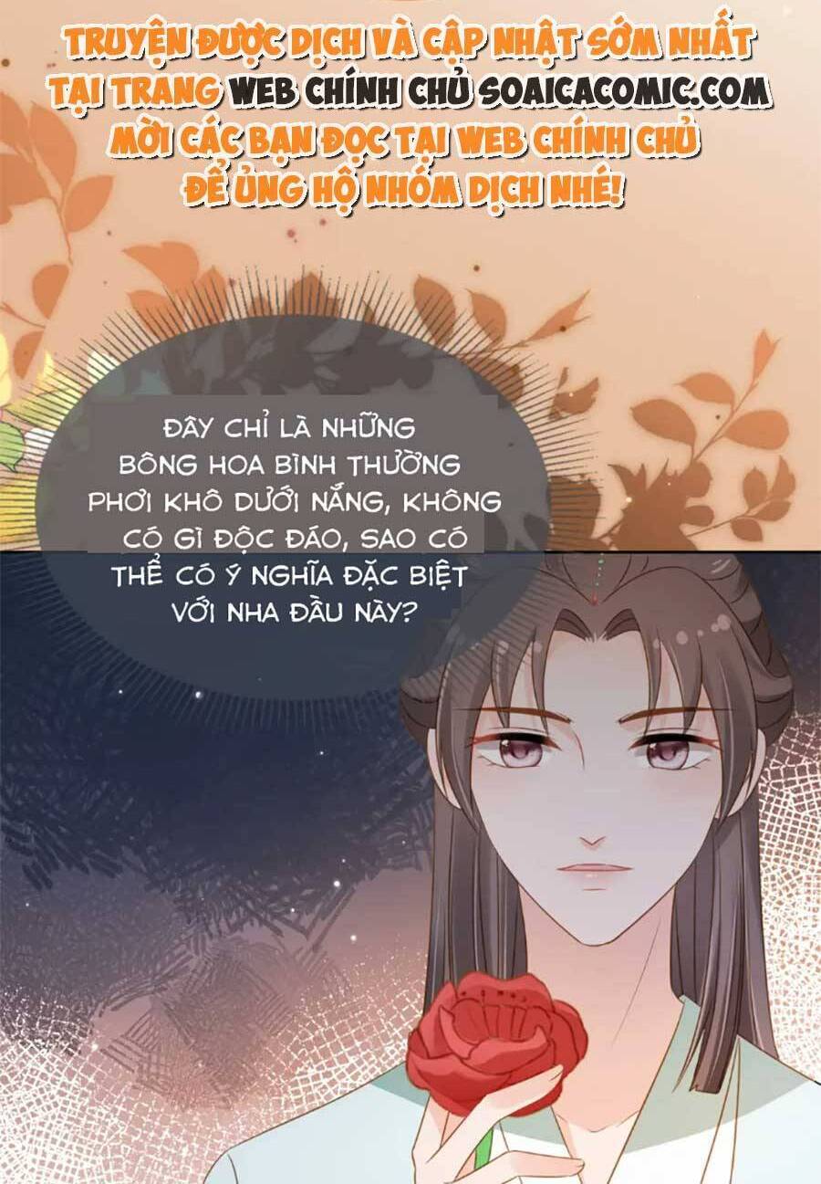 Nhặt Được Bảo Bối Manh Manh Chapter 104 - Trang 2