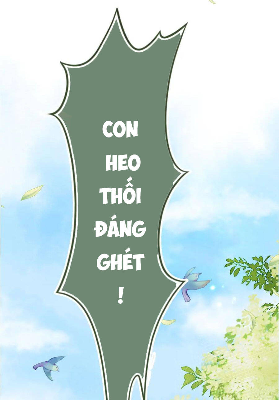 Nhặt Được Bảo Bối Manh Manh Chapter 1 - Trang 2