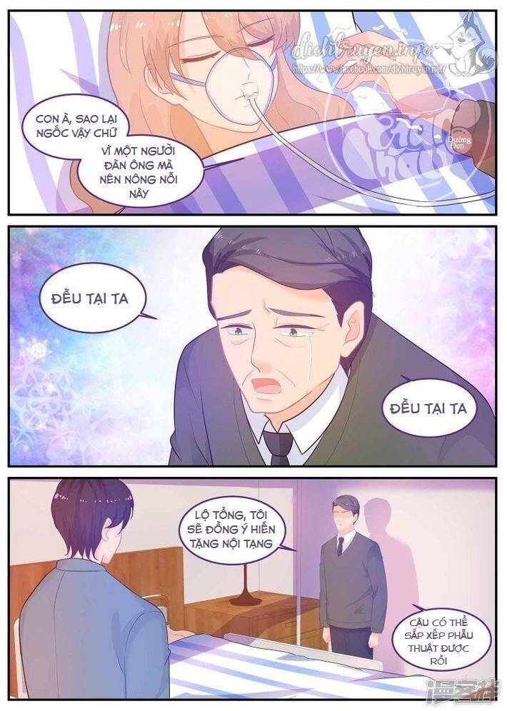 Kim Bài Điềm Thê Chapter 231 - Trang 2