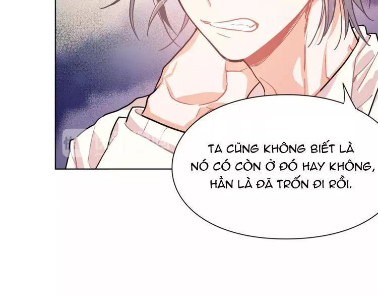 Nữ Hoàng Ngoại Khoa Chapter 14 - Trang 2