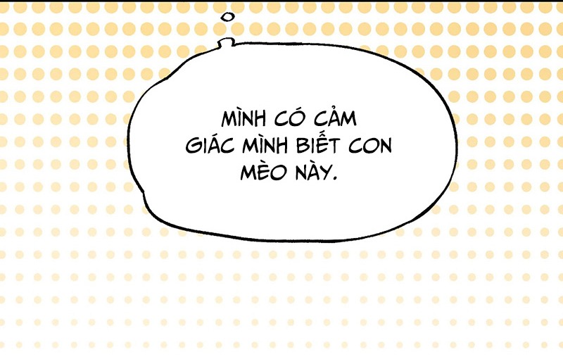 Hôm Nay Bạn Có Giám Phơi Bày Bản Thân Mình Không?! Chapter 13 - Trang 2