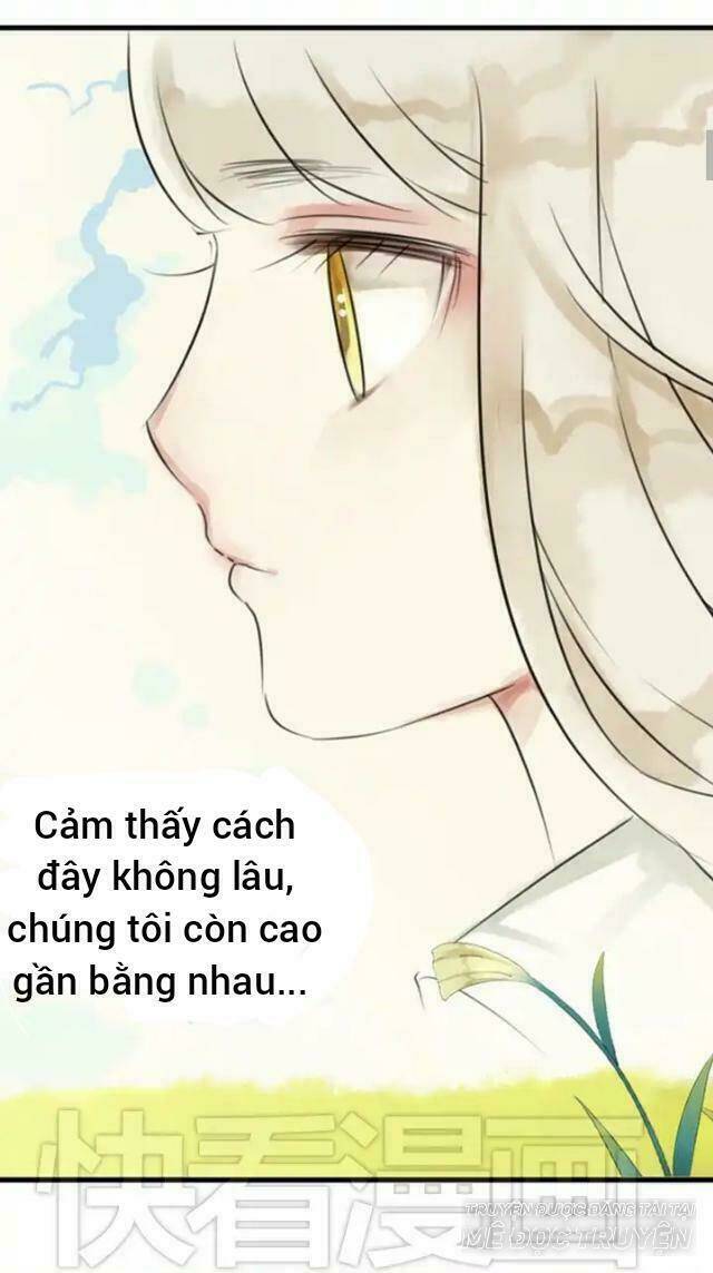 Hoàng Tử Cải Trang Chú Hề Chapter 24 - Trang 2