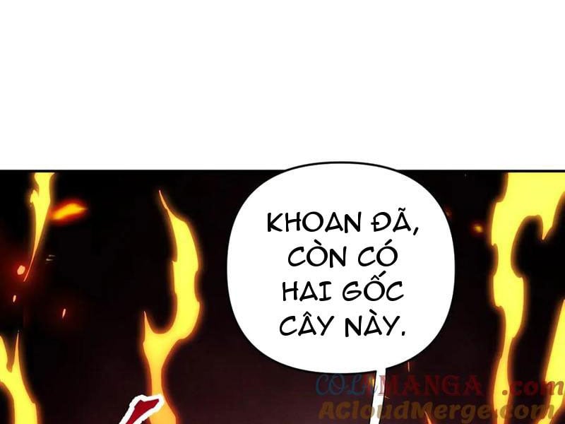 Bắt Đầu Chấn Kinh Nữ Đế Lão Bà, Ta Vô Địch! Chapter 63 - Trang 2