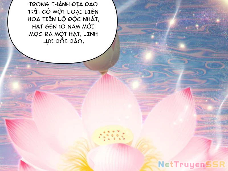 Bắt Đầu Chấn Kinh Nữ Đế Lão Bà, Ta Vô Địch! Chapter 13 - Trang 2