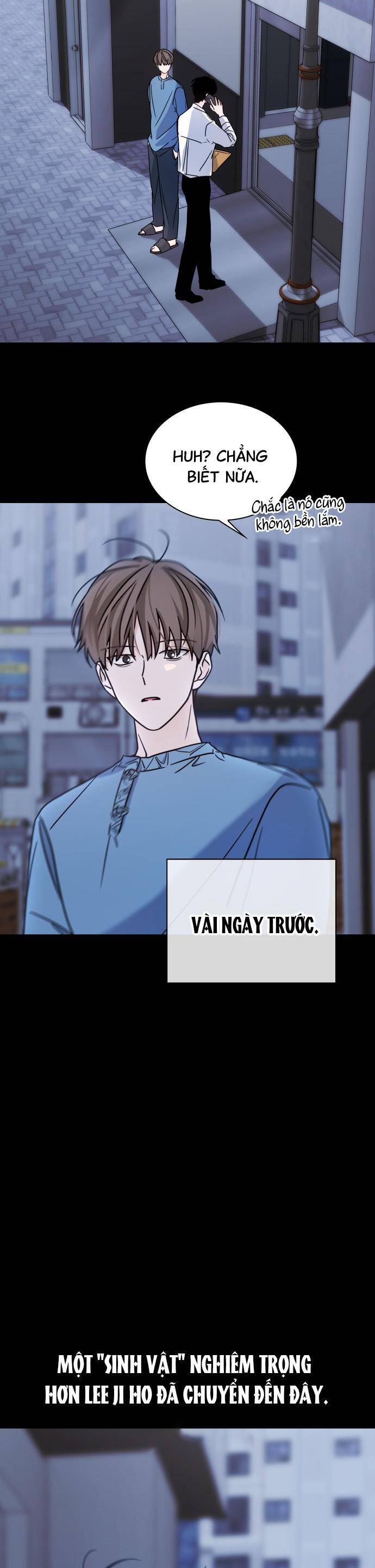 Hôn Trước Khi Ngủ Chapter 18 - Trang 2