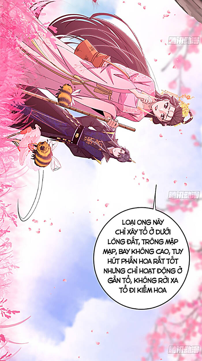 Ta Là Tà Đế Chapter 425 - Trang 2