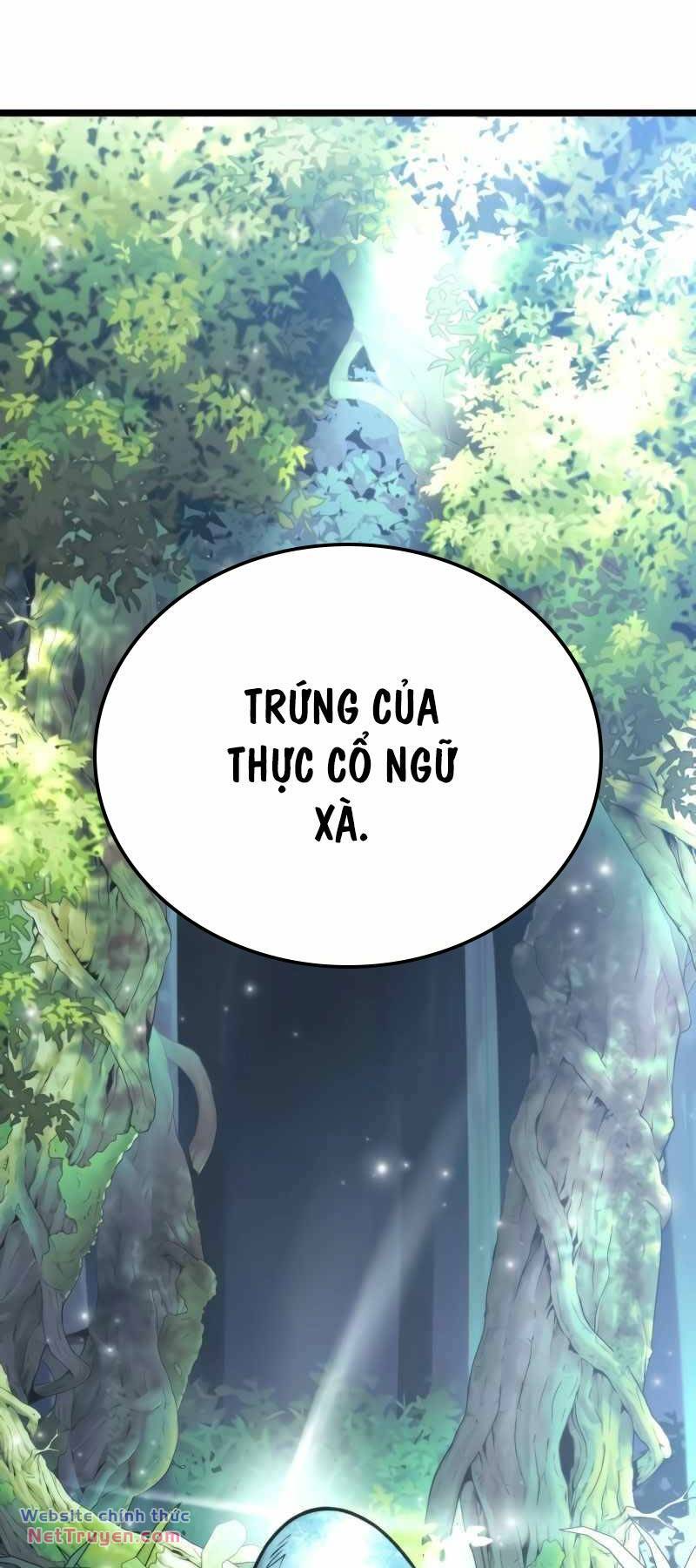 Chiến Binh Hồi Quy Chapter 24 - Trang 2