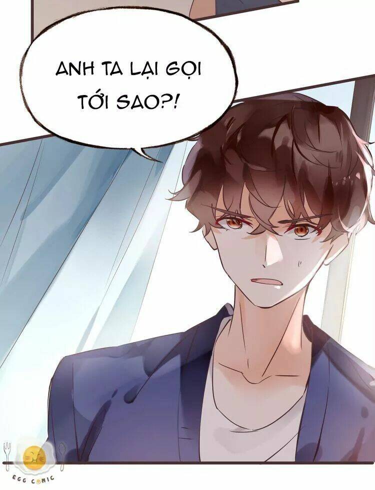 Nở Rộ Trên Bụi Gai Chapter 32 - Trang 2