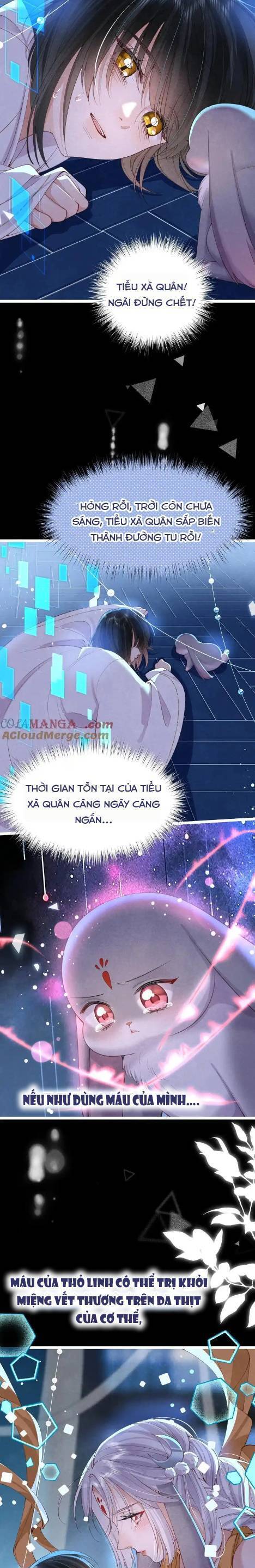 Cách Để Tồn Tại Như Một Cống Phẩm Chapter 17 - Trang 2