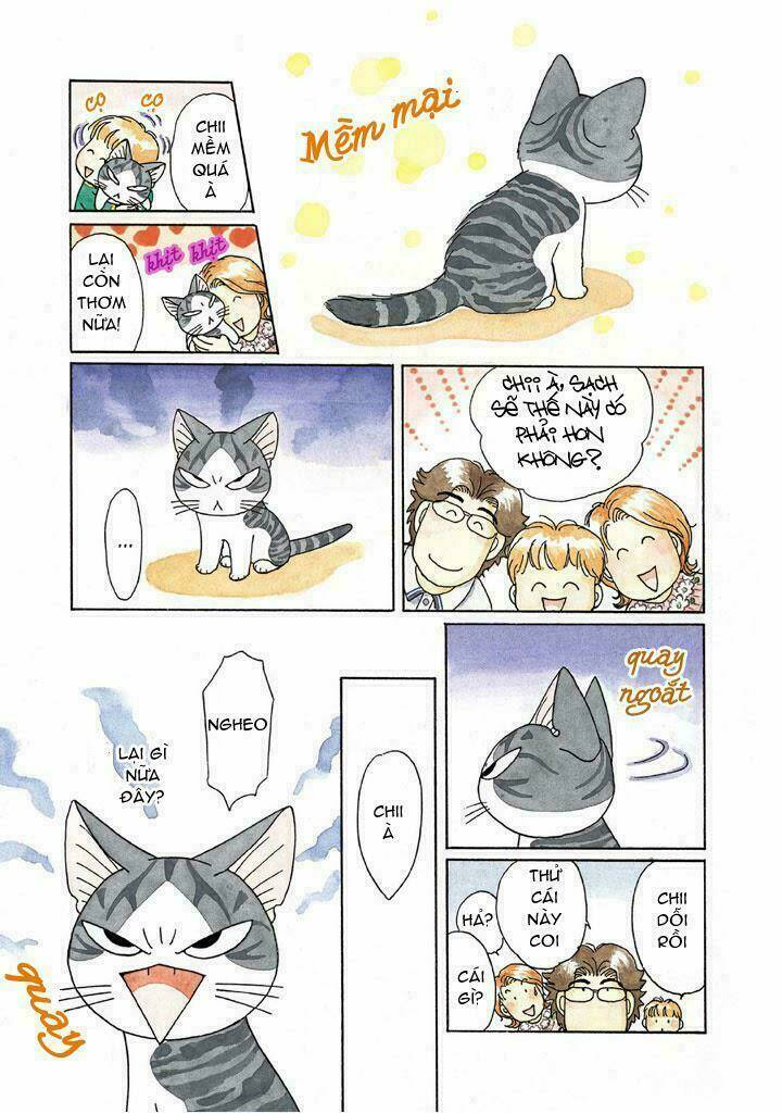 Chi’S Sweet Home Chapter 115 - Trang 2