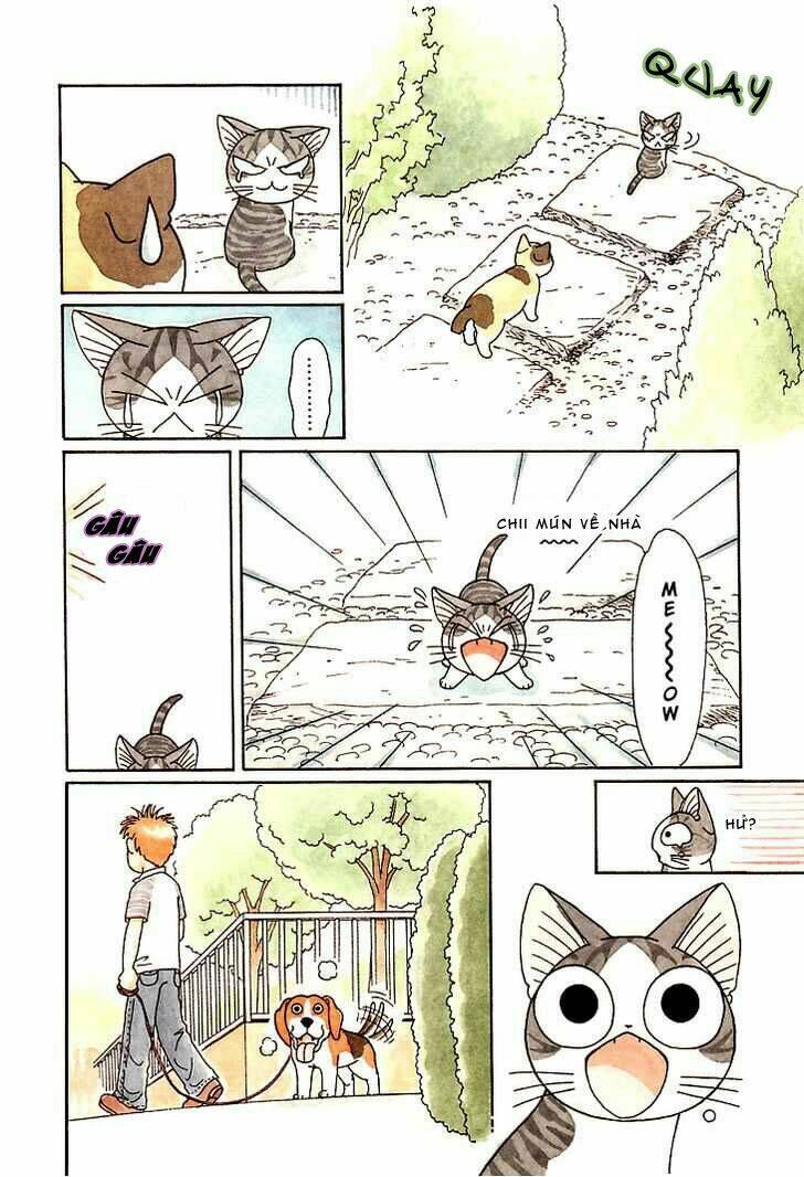 Chi’S Sweet Home Chapter 85 - Trang 2