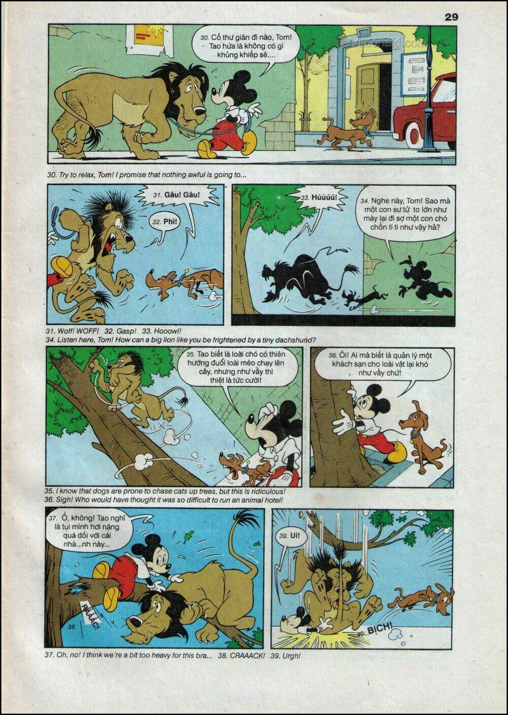 Donald Và Bạn Hữu Chapter 26 - Trang 2