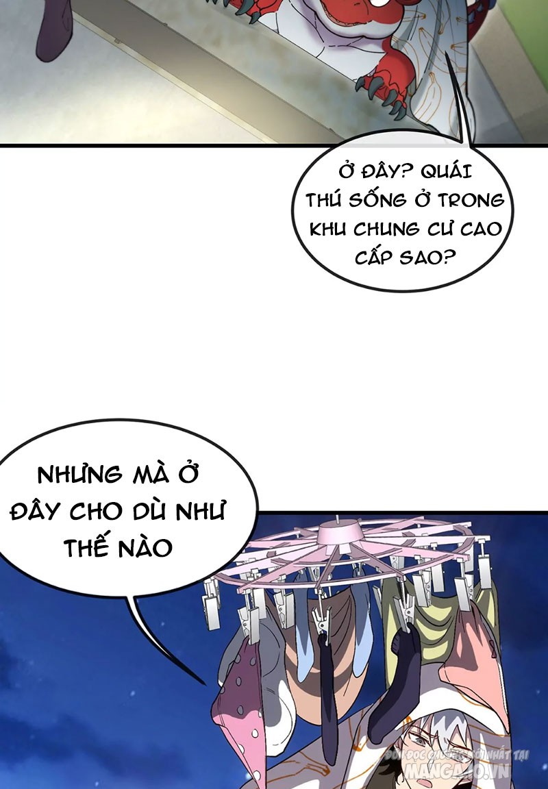 Ta Là Quái Thú Đại Chúa Tể Chapter 4 - Trang 2