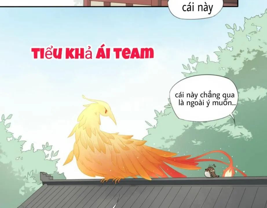 Tước Tiên Chapter 2.1 - Trang 2