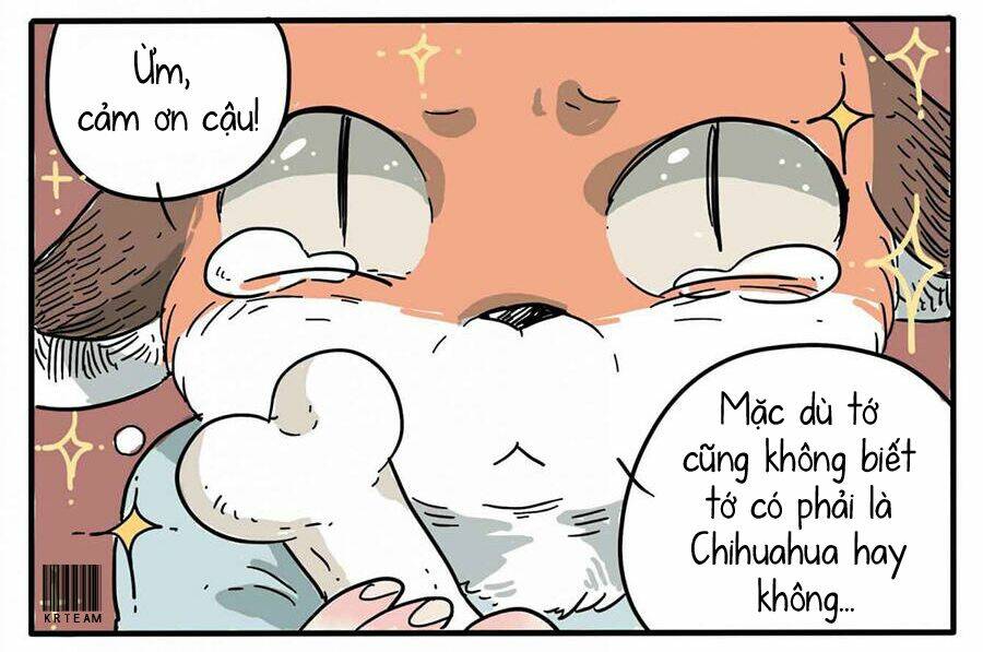 Cáo A Cát Kém Tắm Chapter 1 - Trang 2