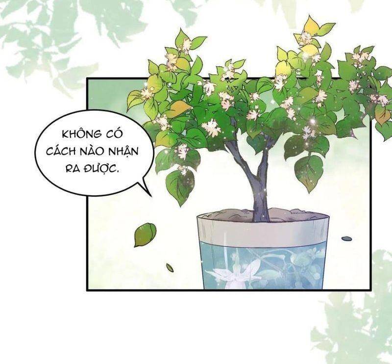 Tuyệt Sắc Quyến Rũ: Quỷ Y Chí Tôn Chapter 451 - Trang 2