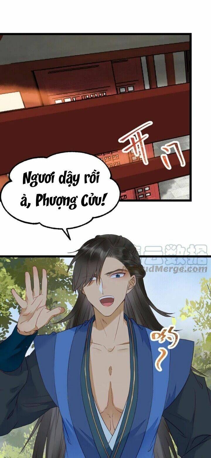 Tuyệt Sắc Quyến Rũ: Quỷ Y Chí Tôn Chapter 352 - Trang 2