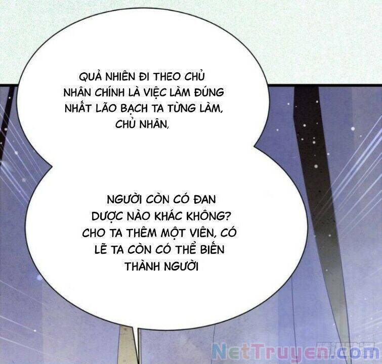 Tuyệt Sắc Quyến Rũ: Quỷ Y Chí Tôn Chapter 263 - Trang 2