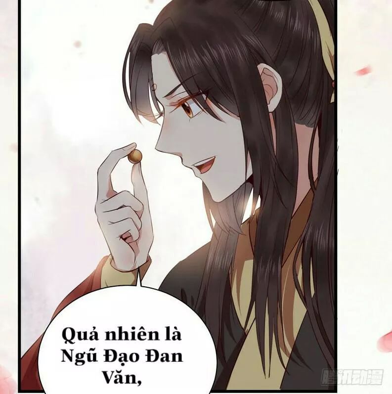 Tuyệt Sắc Quyến Rũ: Quỷ Y Chí Tôn Chapter 150 - Trang 2