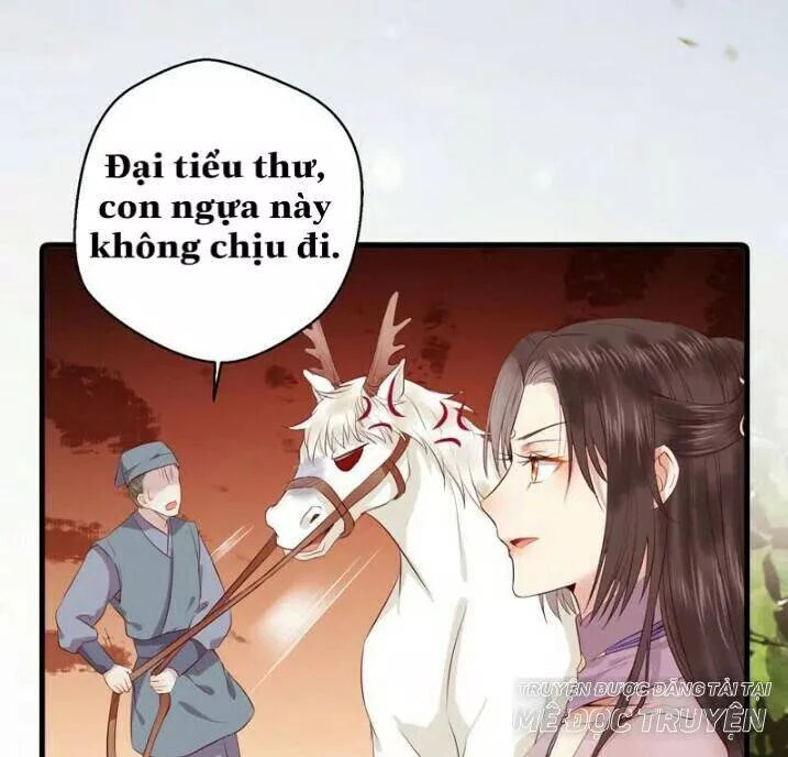 Tuyệt Sắc Quyến Rũ: Quỷ Y Chí Tôn Chapter 145.5 - Trang 2